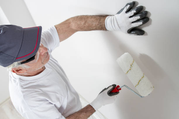 Professional Mold Removal in Three Oaks, FL