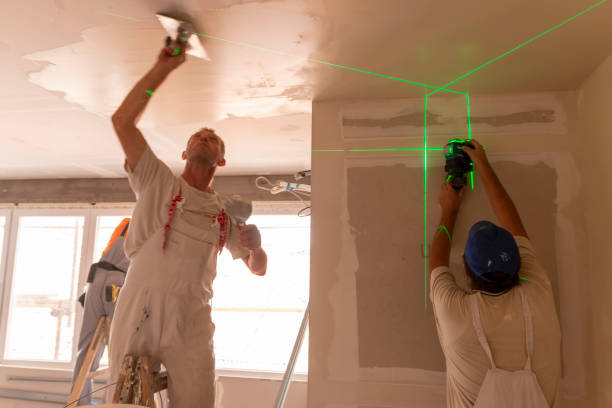 Best Attic Mold Removal  in Three Oaks, FL