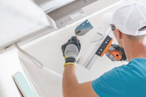 Best Biohazard Mold Removal  in Three Oaks, FL